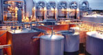 Chemical and Petrochemical Industry